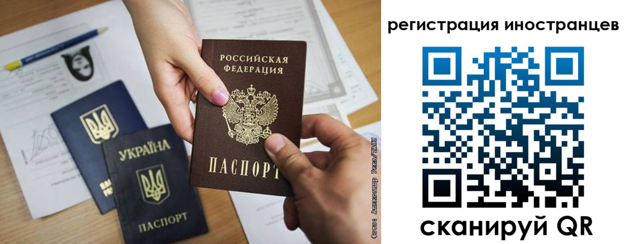 регистрация для школы в Сертолово